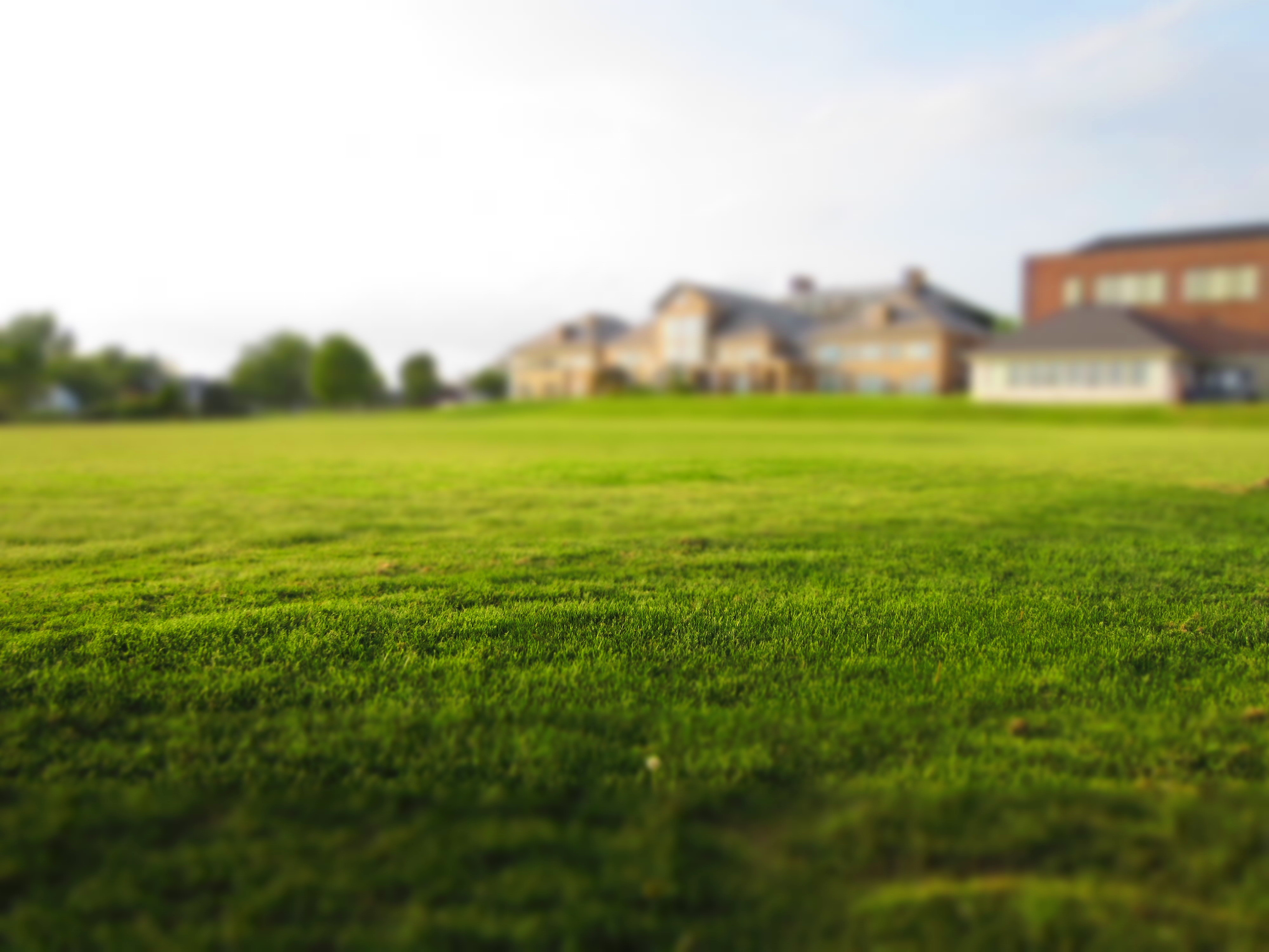 Can Deck Stairs Land On Grass? (What You Should Do)