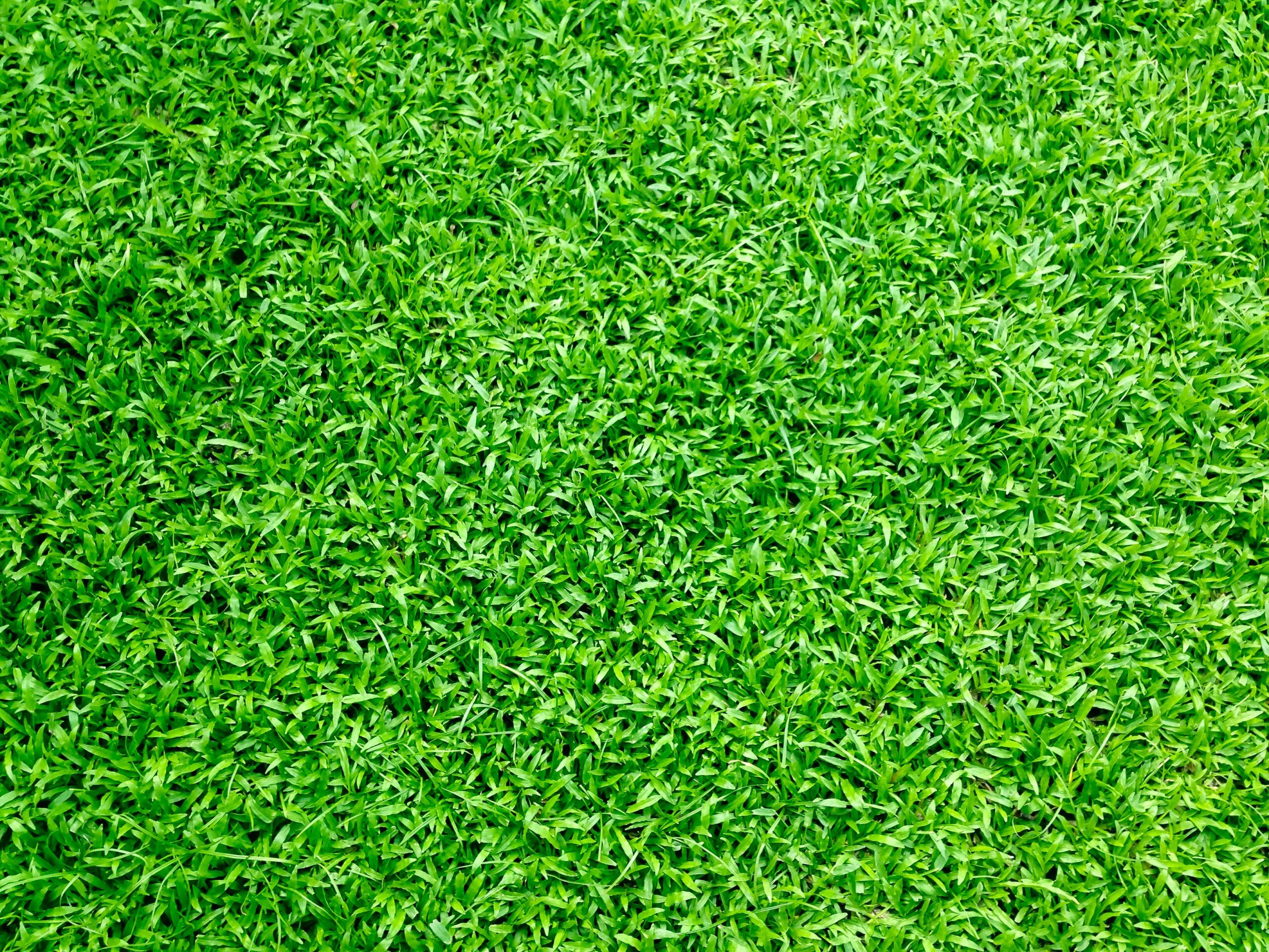 Can You Use Deck Tiles On Grass?(What You Need To Know)