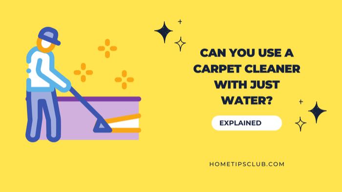 Can You Use a Carpet Cleaner With Just Water? (Everything You Need To Know)