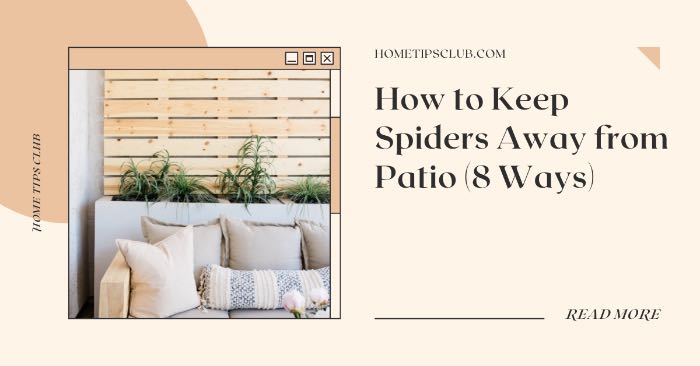 How to Keep Spiders Away from Patio (8 Ways)