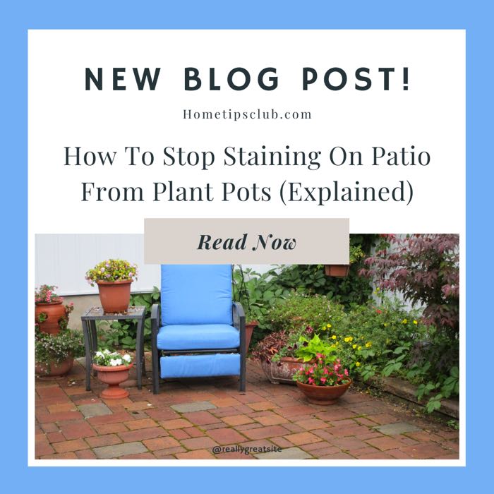 How To Stop Staining On Patio From Plant Pots (Explained)