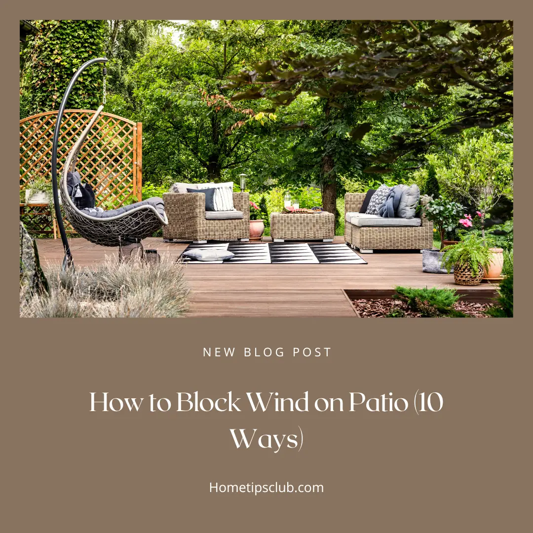 How to Block Wind on Patio (10 Ways)