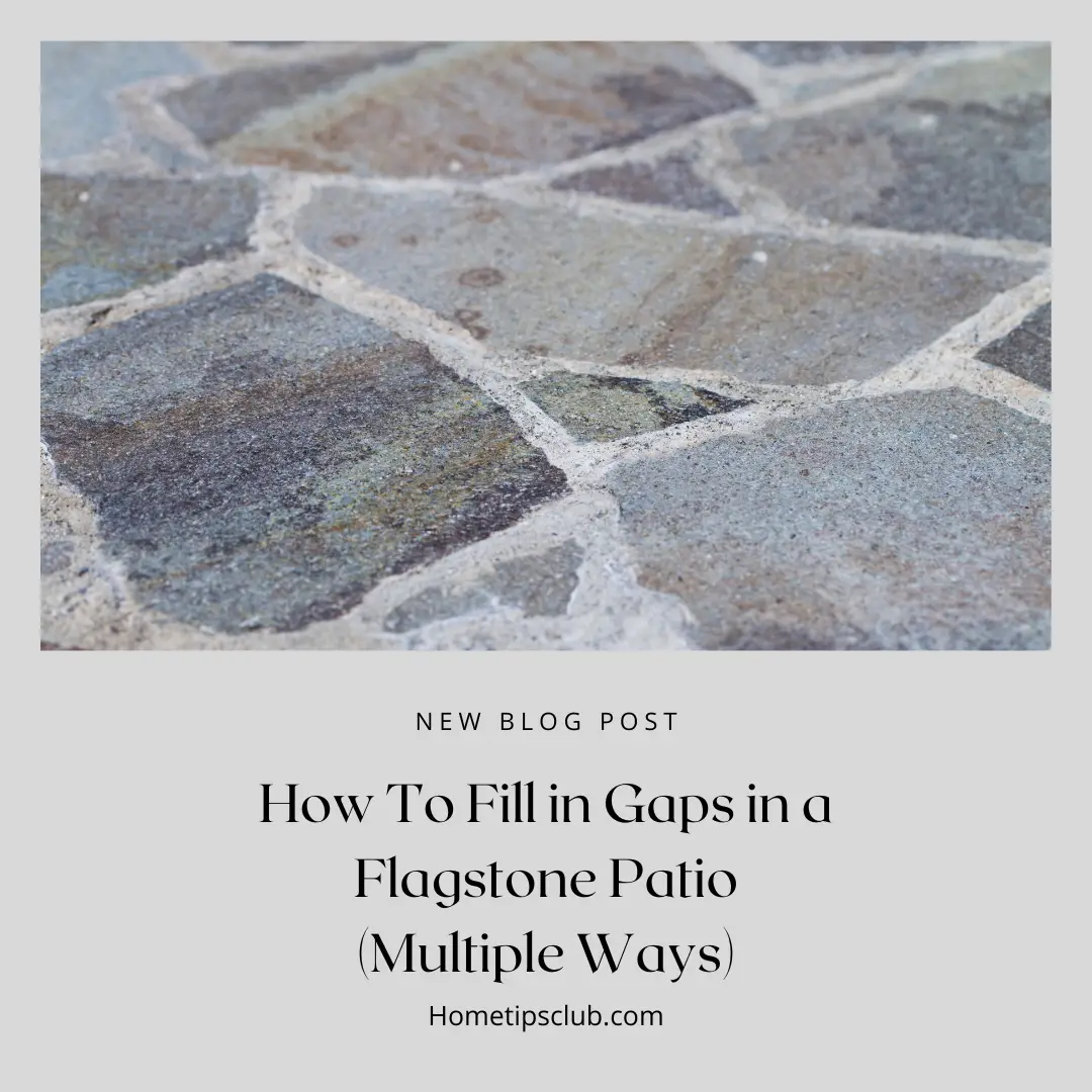How To Fill in Gaps in a Flagstone Patio (Multiple Ways)