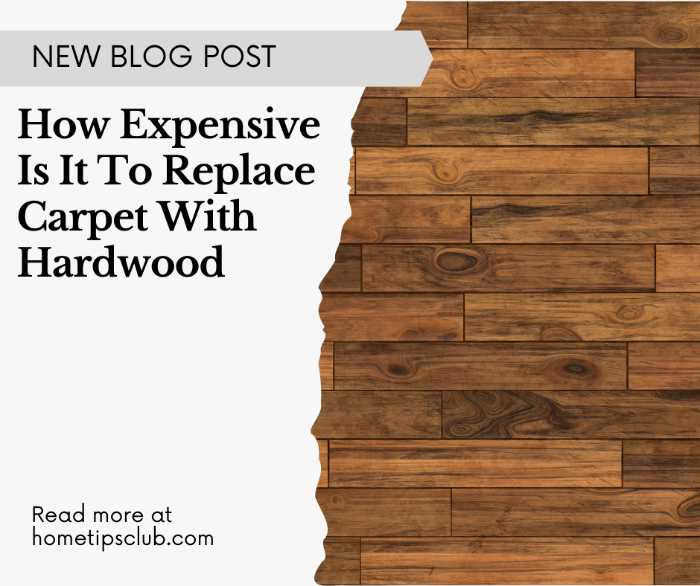 How Expensive Is It To Replace Carpet With Hardwood