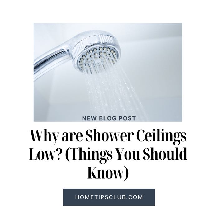 Why are Shower Ceilings Low? (Things You Should Know)