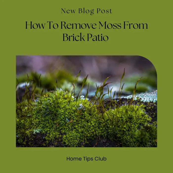 How To Remove Moss From Brick Patio 