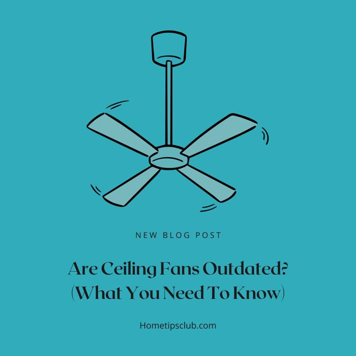 Head In The Ceiling Fan Meaning