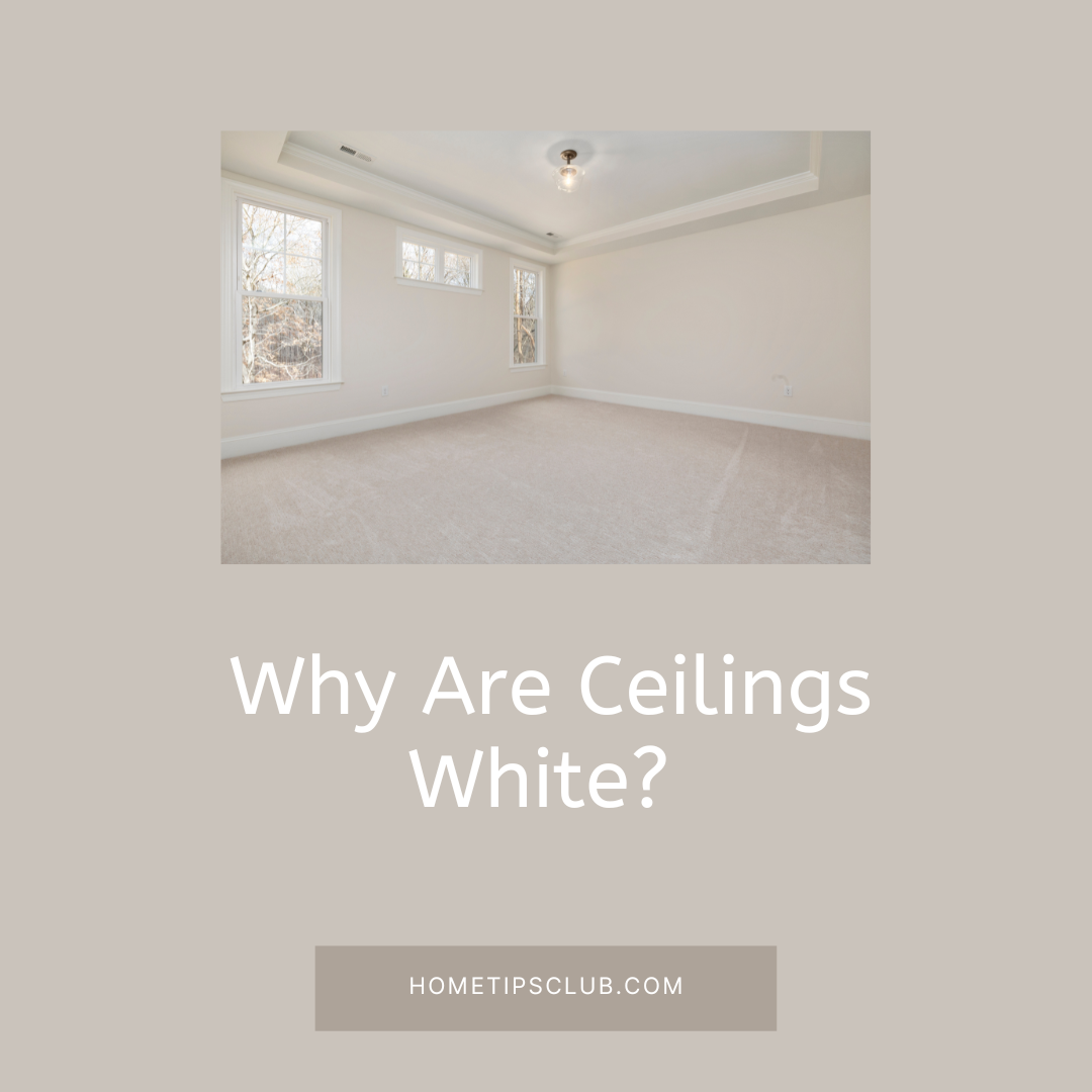 Why are Ceilings Usually Painted White? Your Questions Answered