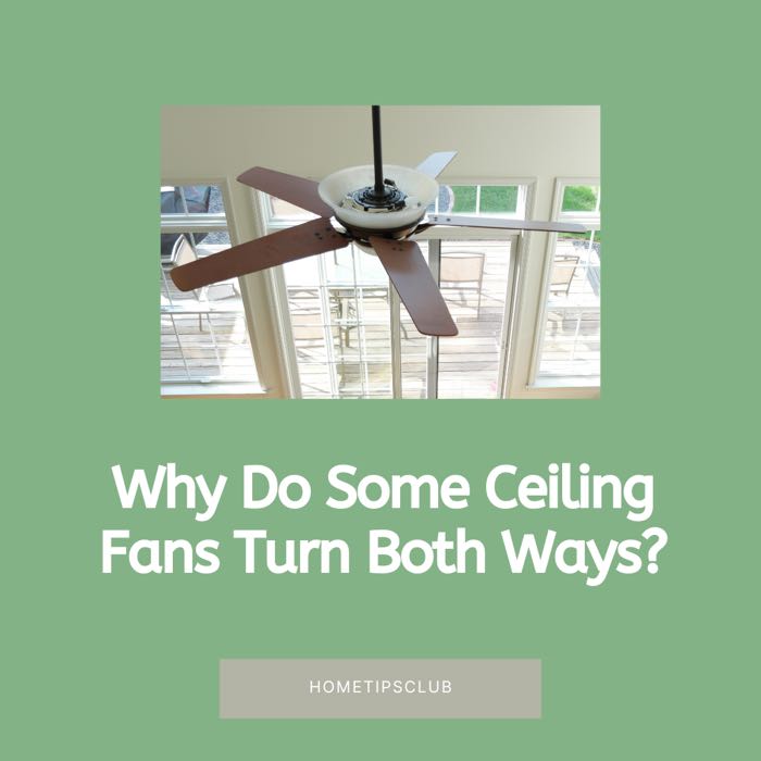 Why Do Some Ceiling Fans Turn Both Ways?