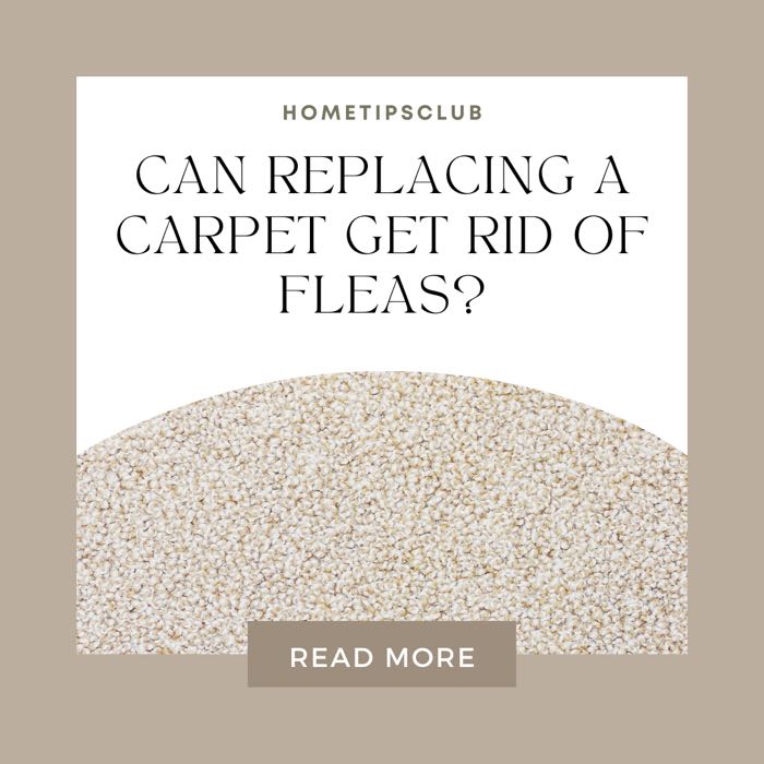 Can Replacing a Carpet Get Rid Of Fleas?