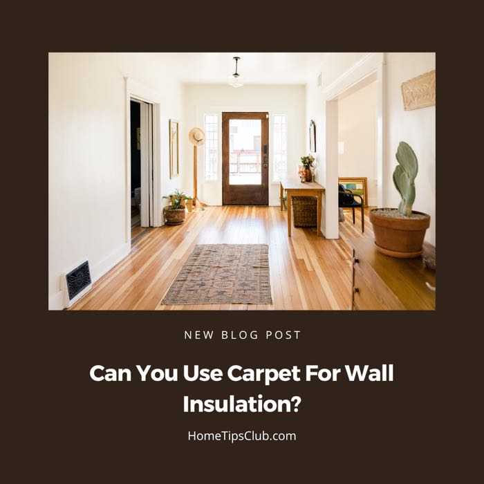 Can You Use Carpet For Wall Insulation?