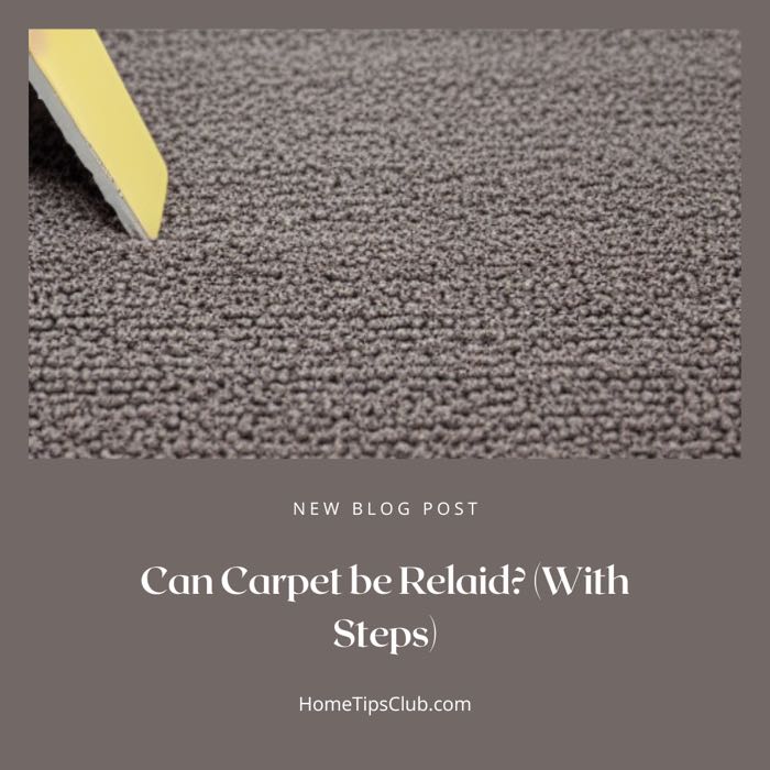 Can Carpet be Relaid? (With Steps)