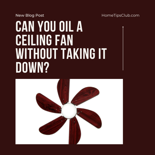 Can You Oil a Ceiling Fan Without Taking it Down?