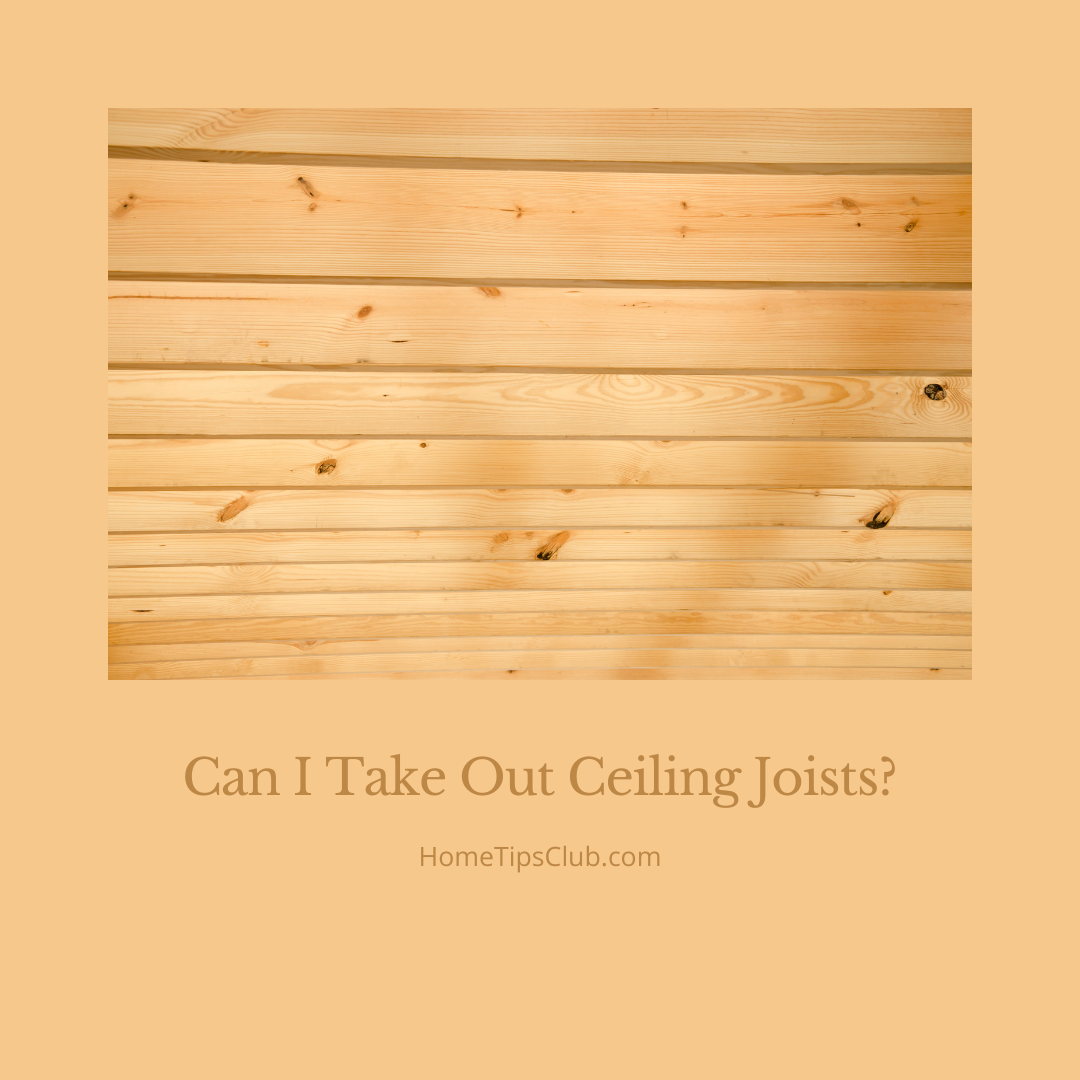 Can I Take Out Ceiling Joists? (What You Should Know)