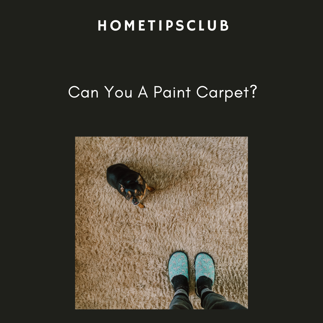 Is It Possible To Paint Your Carpet?