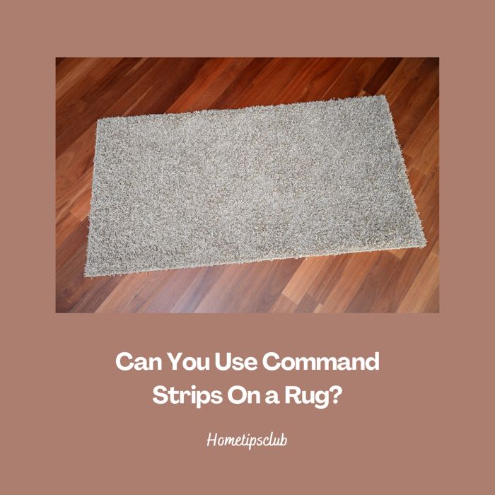 Can You Use Command Strips On a Rug?