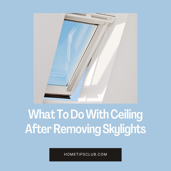 What To Do With Ceiling After Removing Skylights