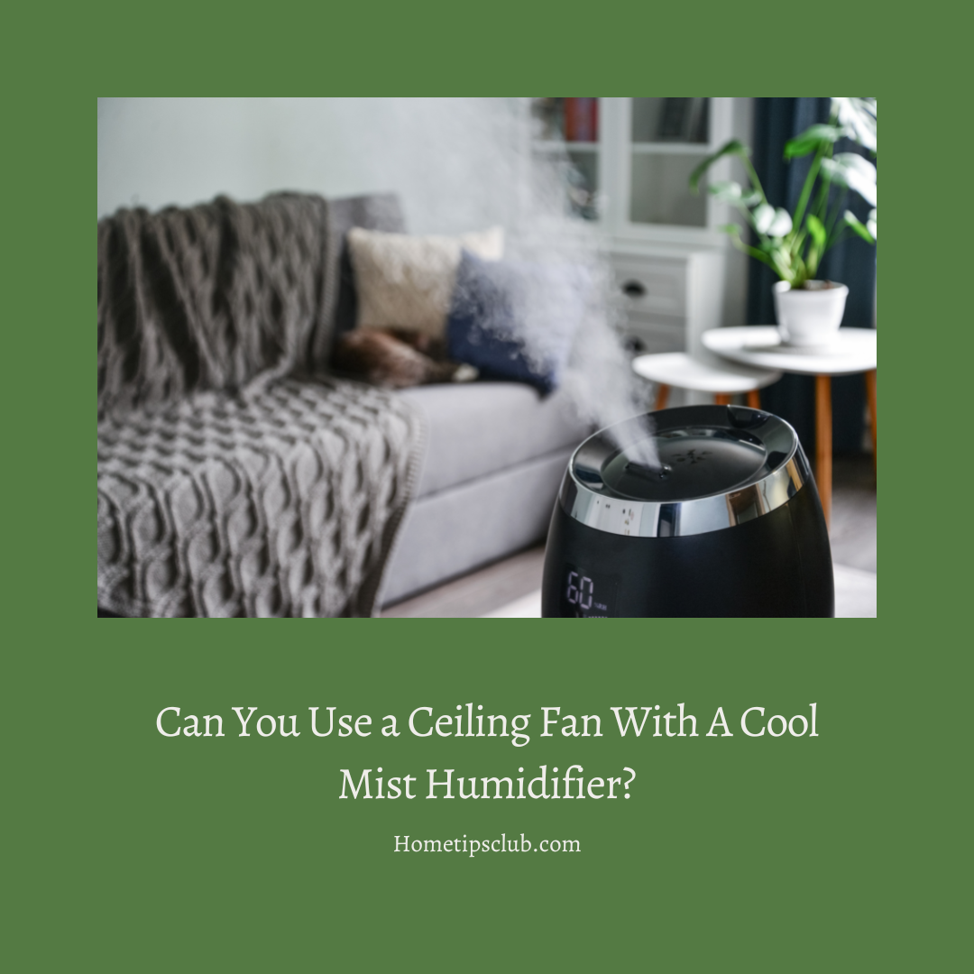 Can You Use a Ceiling Fan With A Cool Mist Humidifier?