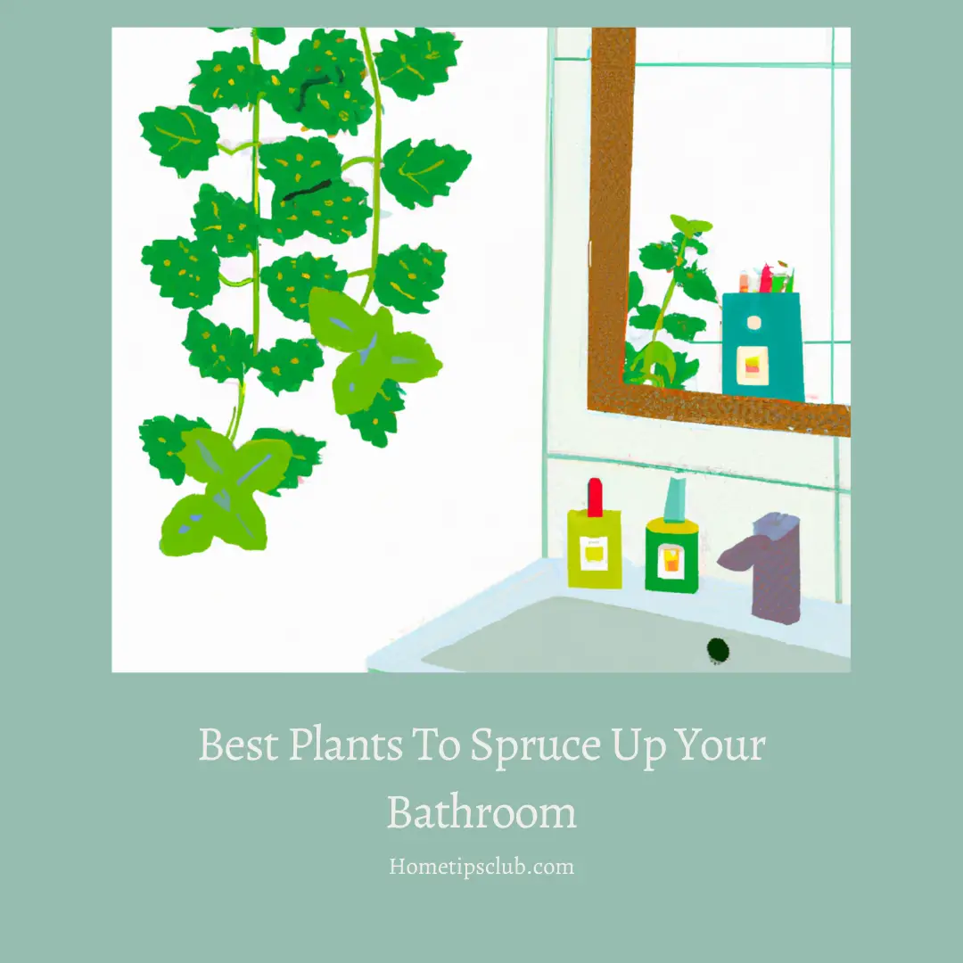 Best Type of Plants to Spruce Up Your Bathroom 